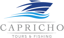 Logo capricho tours